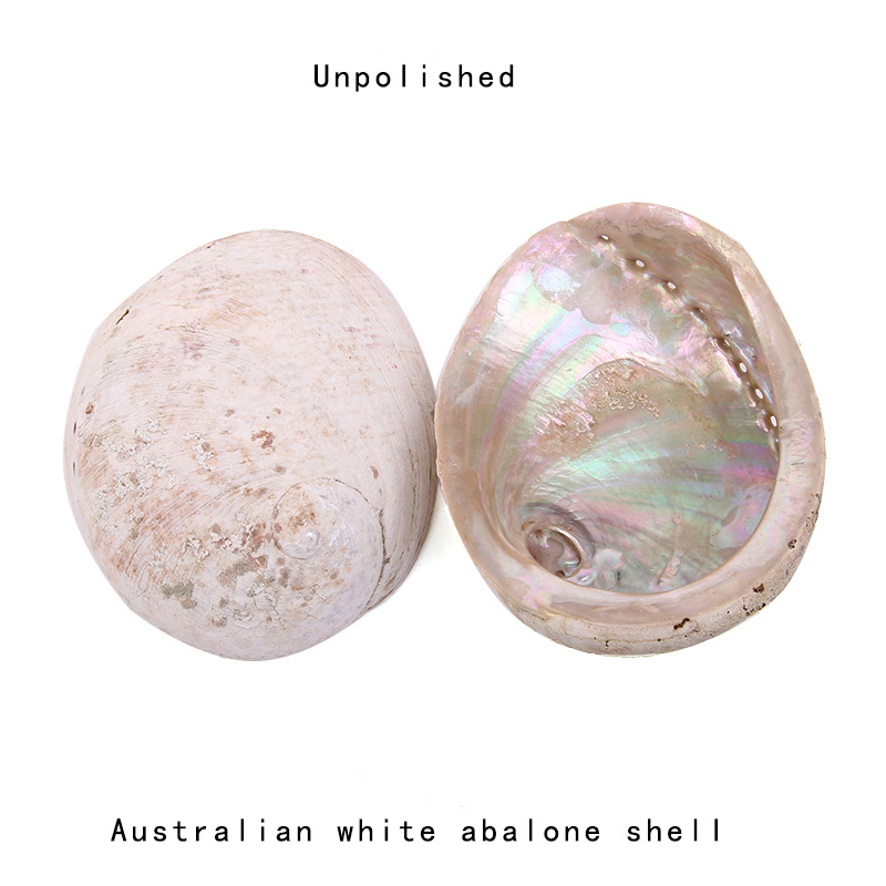 12-16CM Natural New Zealand Ab - Jewelry Making New Zealand ulasan dan harga