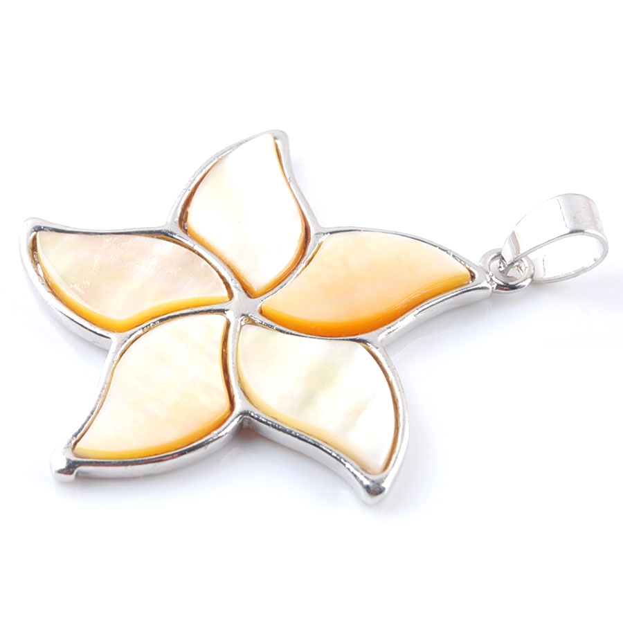 5pcs Natural New Zealand Abalo - Jewelry Making New Zealand ulasan dan harga